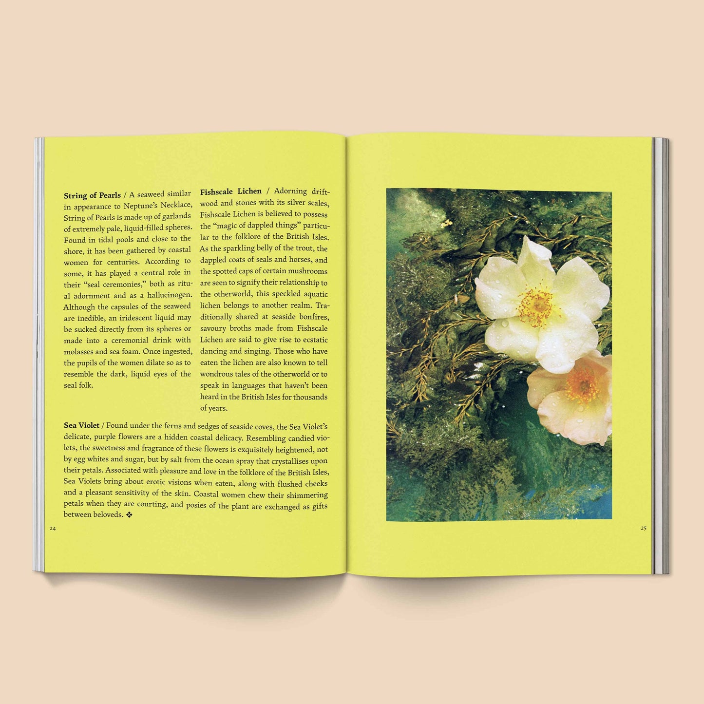 Fruit of Mythic Dreaming: Imagined Folklore | Broccoli
