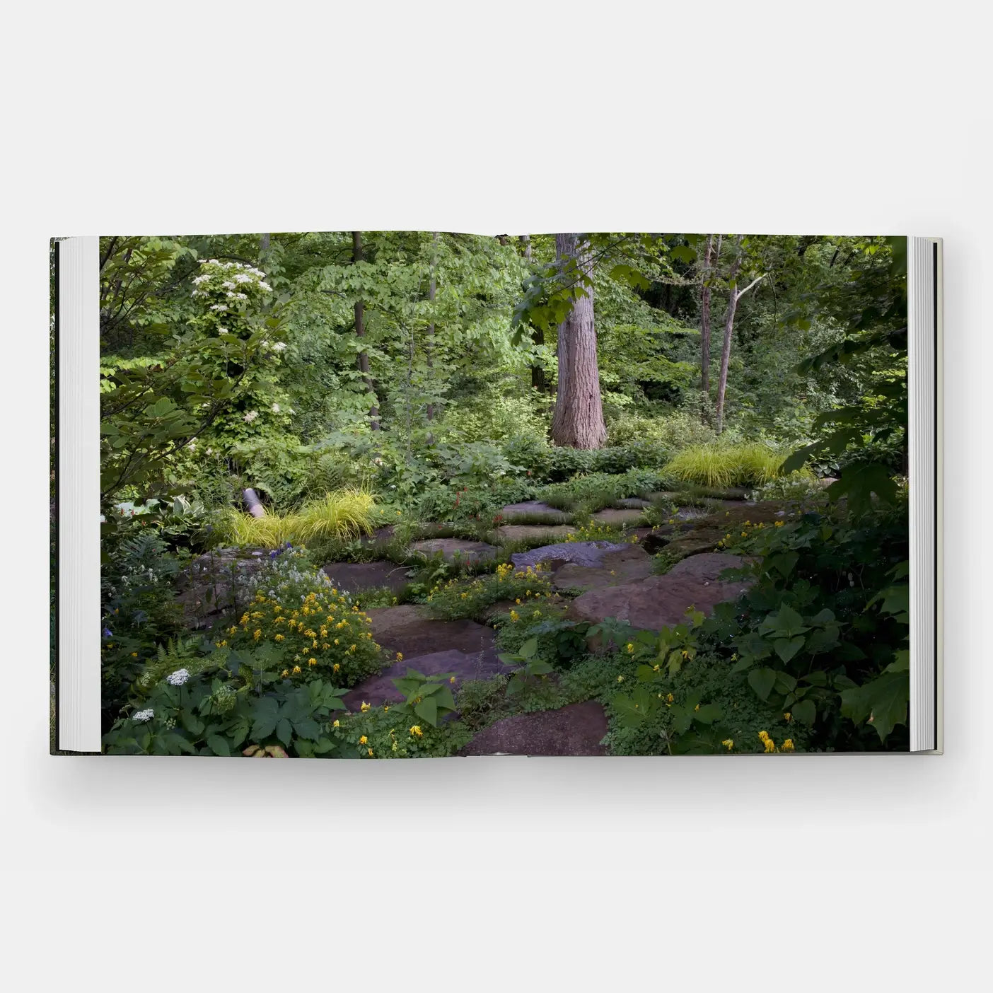 The Art Of Fine Gardening