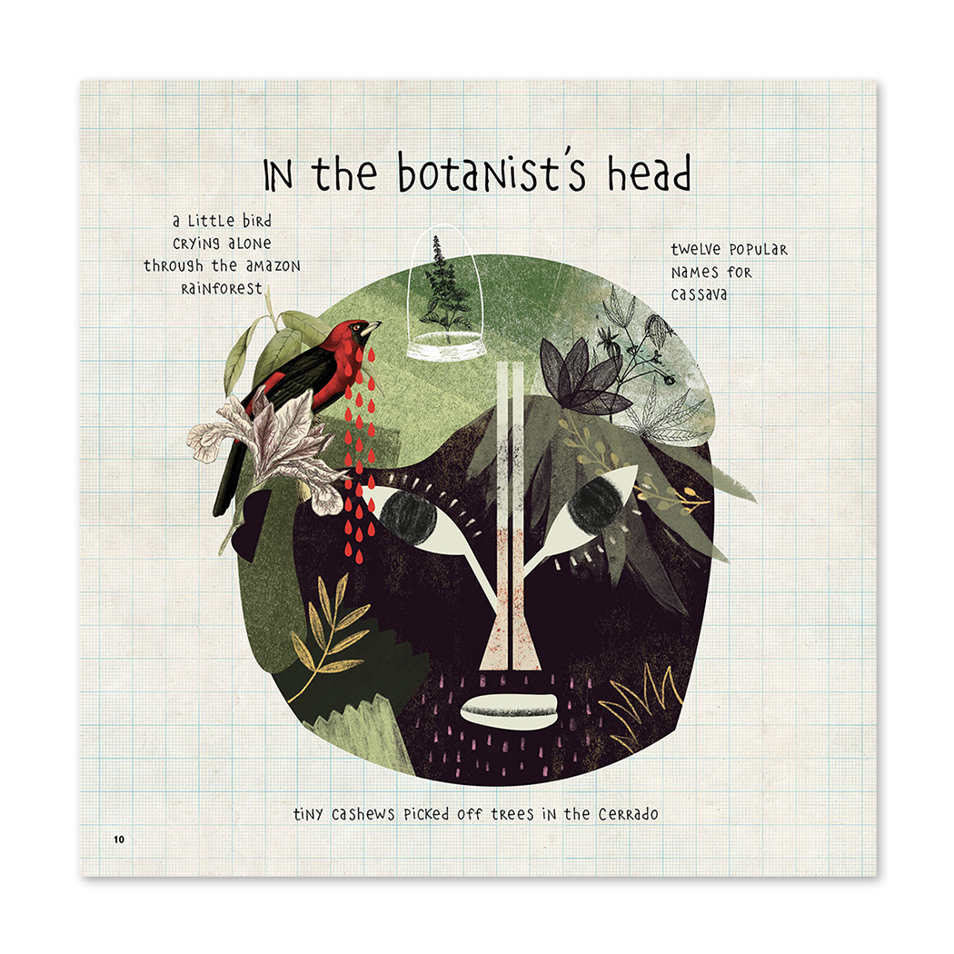 The Collector of Heads | Children's Picture Book
