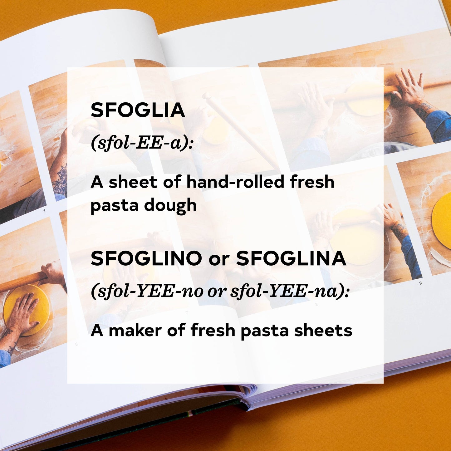 American Sfoglino