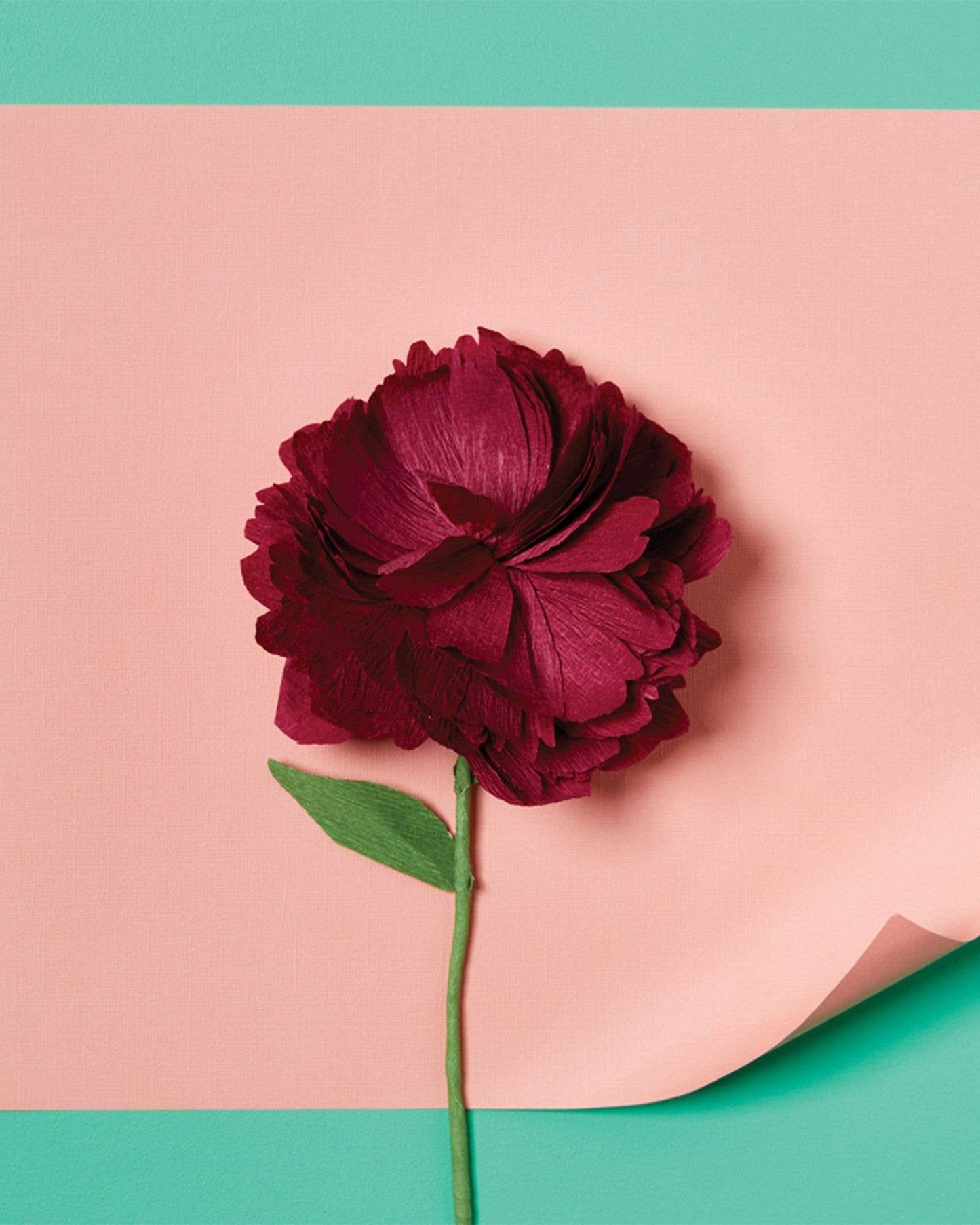 Paper Flower Making Craft - DIY Adult Craft Kit