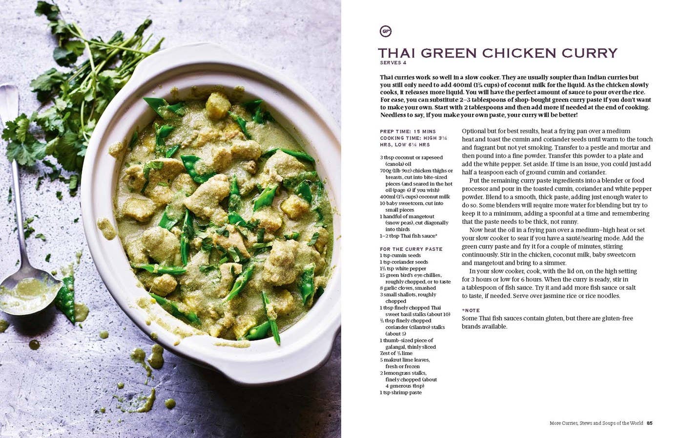 Curry Guy Slow Cooker