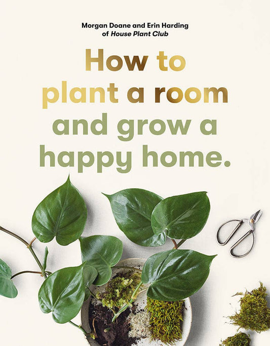 How to plant a room | Doane, Morgan