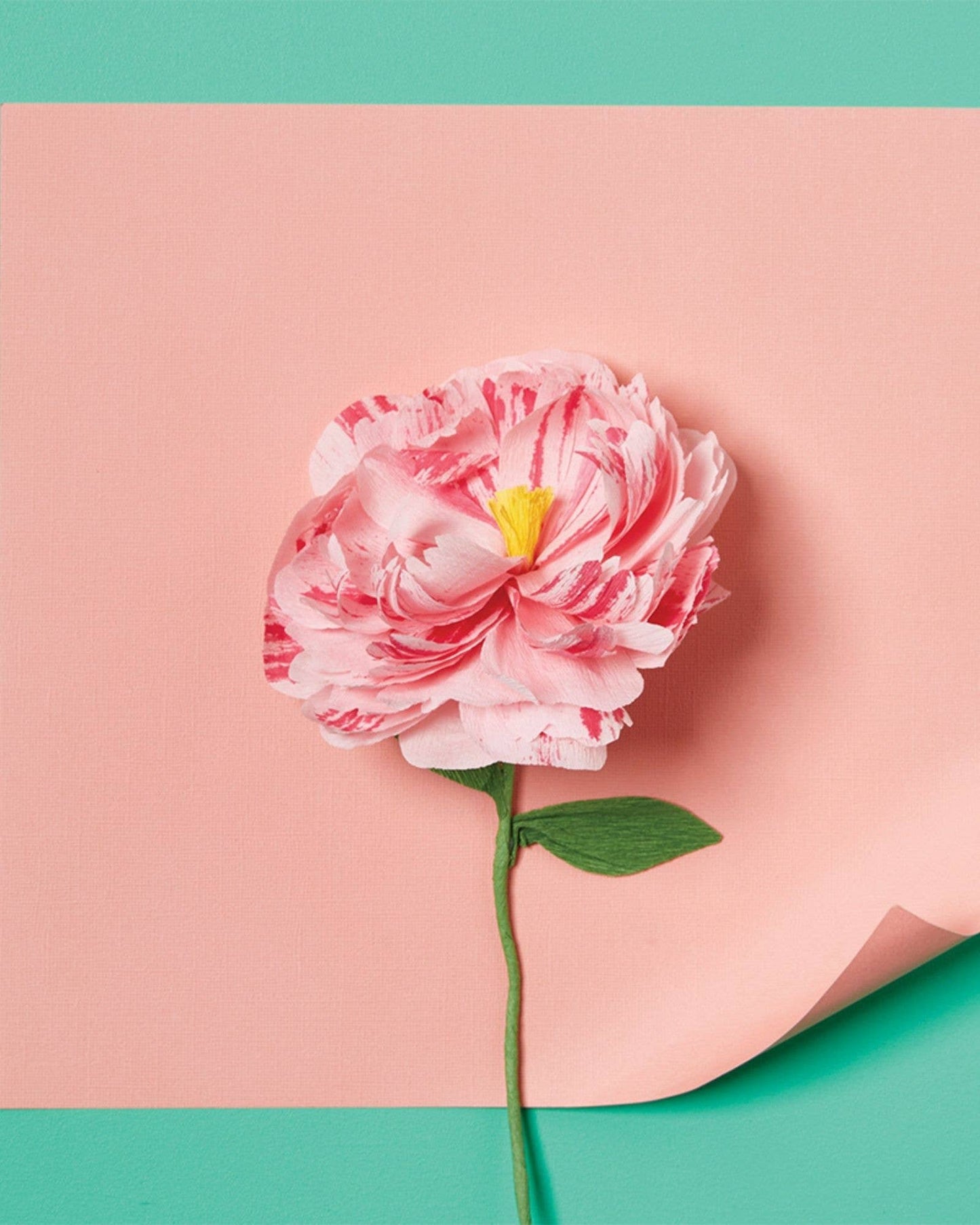 Paper Flower Making Craft - DIY Adult Craft Kit