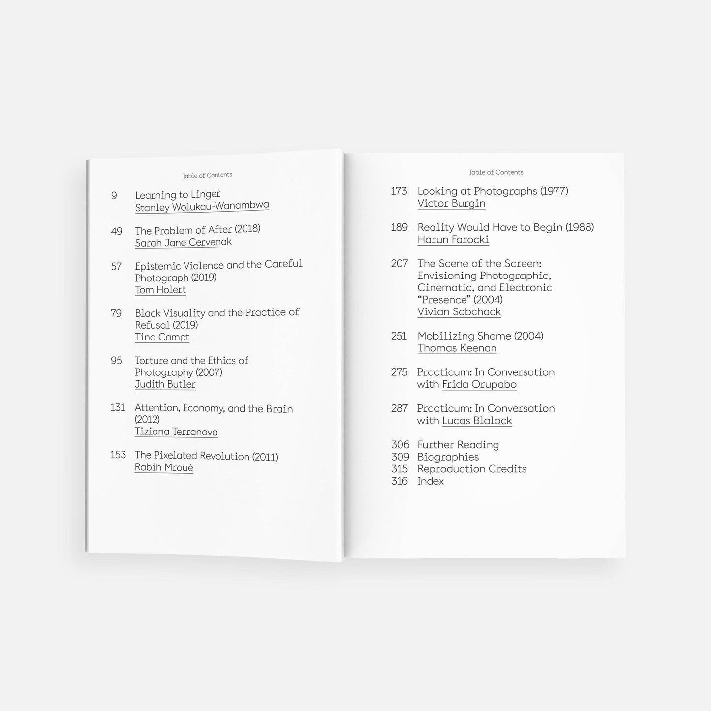 The Lives of Images, Vol. 2: Analogy, Attunement, and Attention