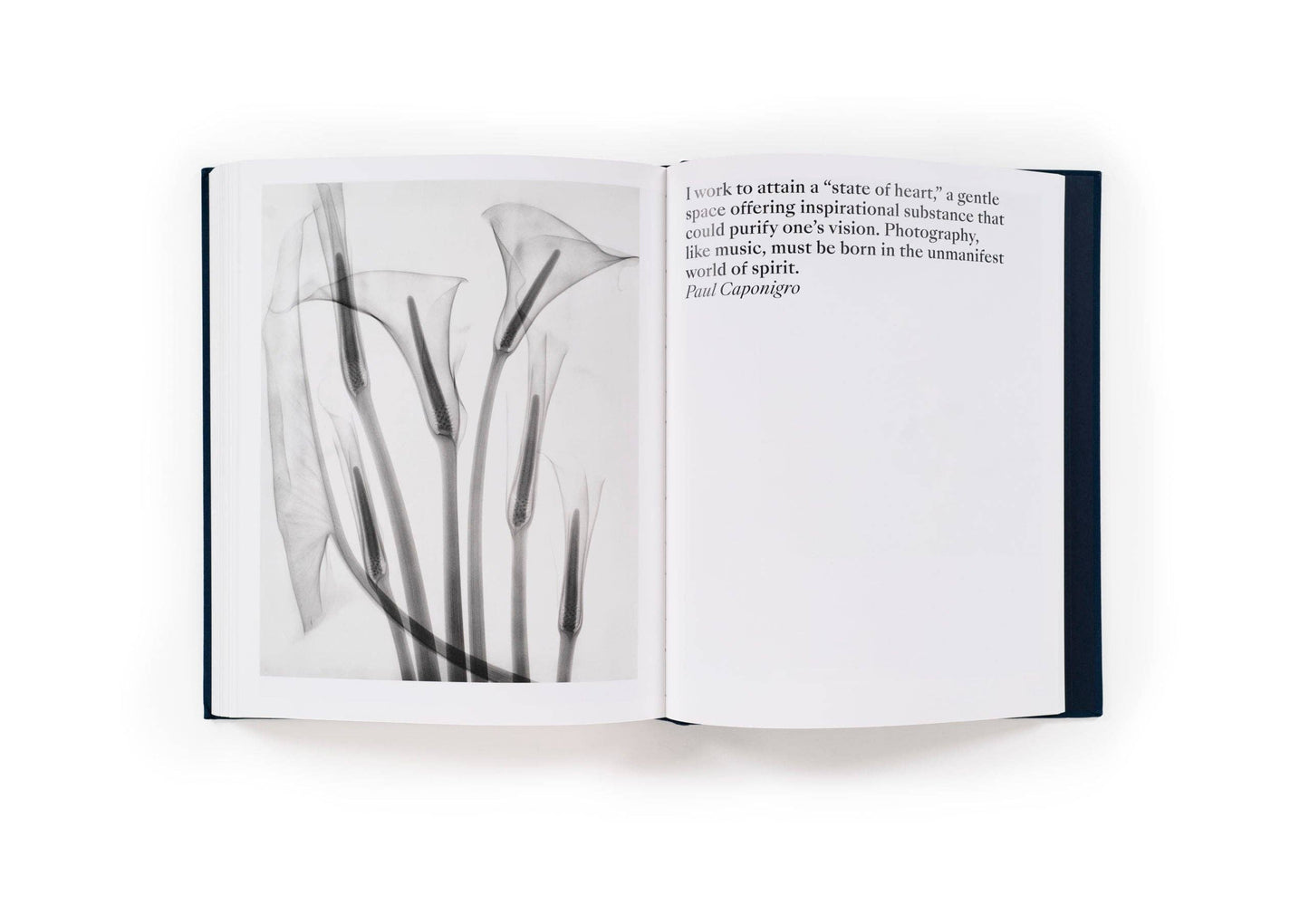 Presence: The Photography Collection of Judy Glickman Lauder