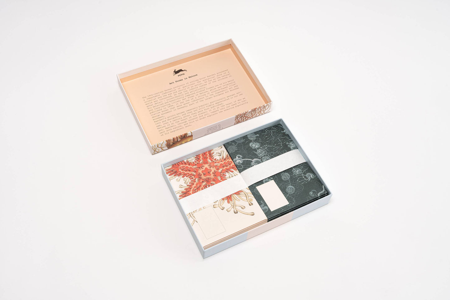 Art Forms in Nature Correspondence Set