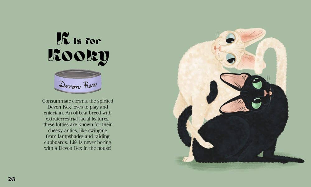 Catphabet : A Cat Alphabet