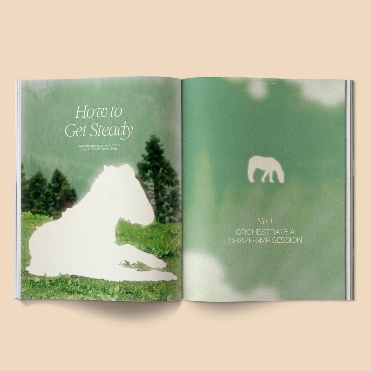 Calling All Horse Girls Magazine, Vol. 8: Steady