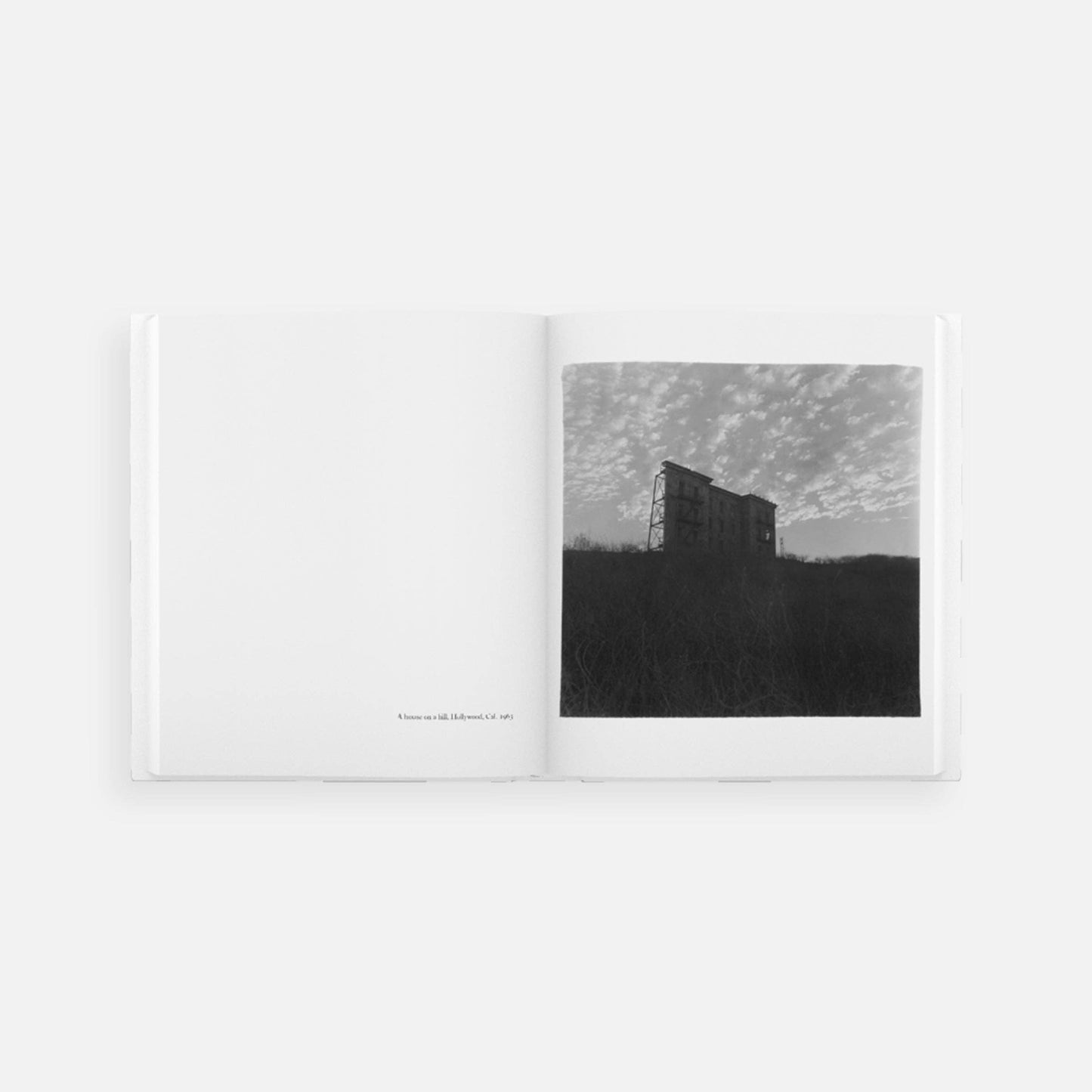 Diane Arbus: An Aperture Monograph