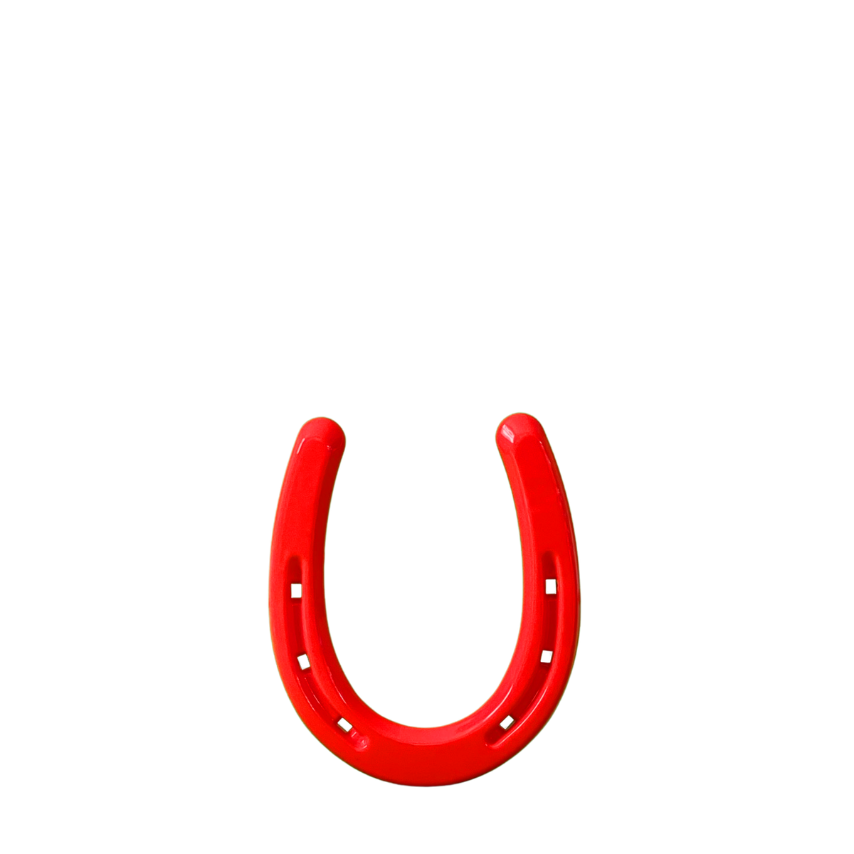 Pony Shoes