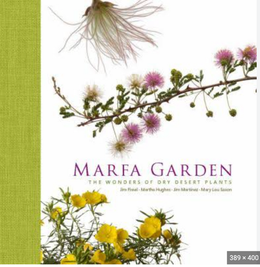 Marfa Garden