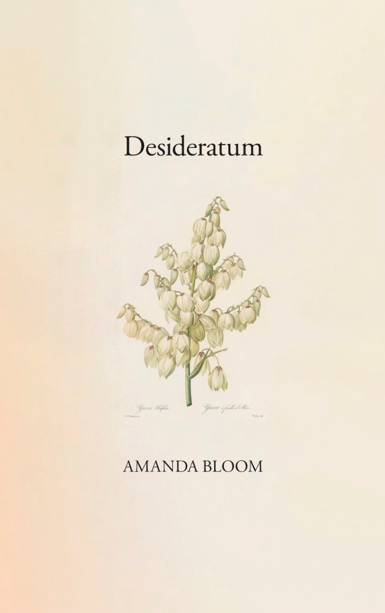 Desideratum
