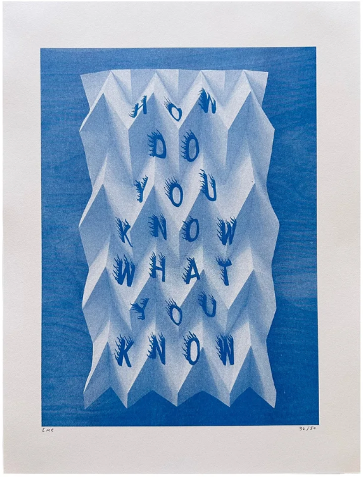 How Do You Know What You Know Risograph Print - Eva Claycomb