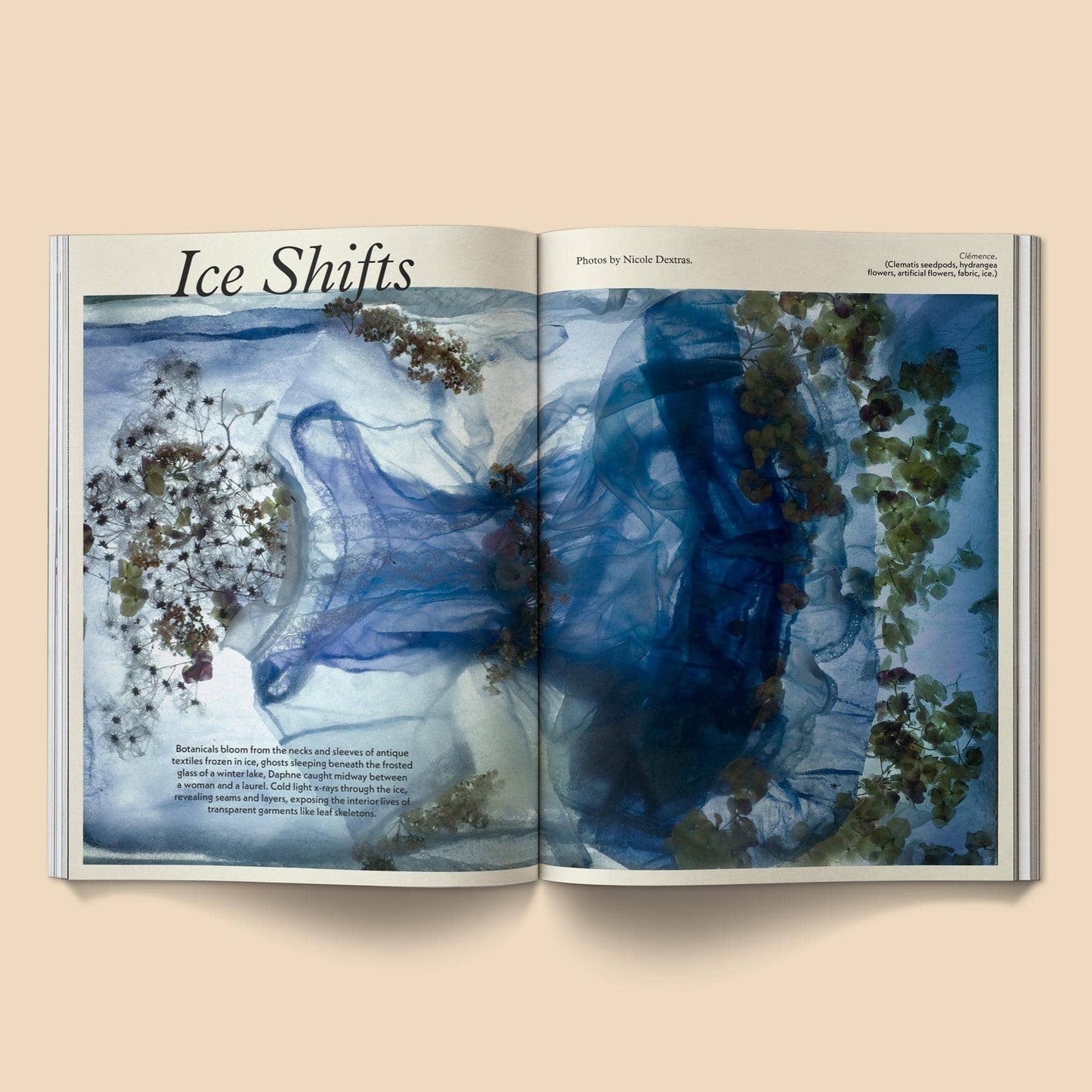 Mildew Magazine: Issue 4