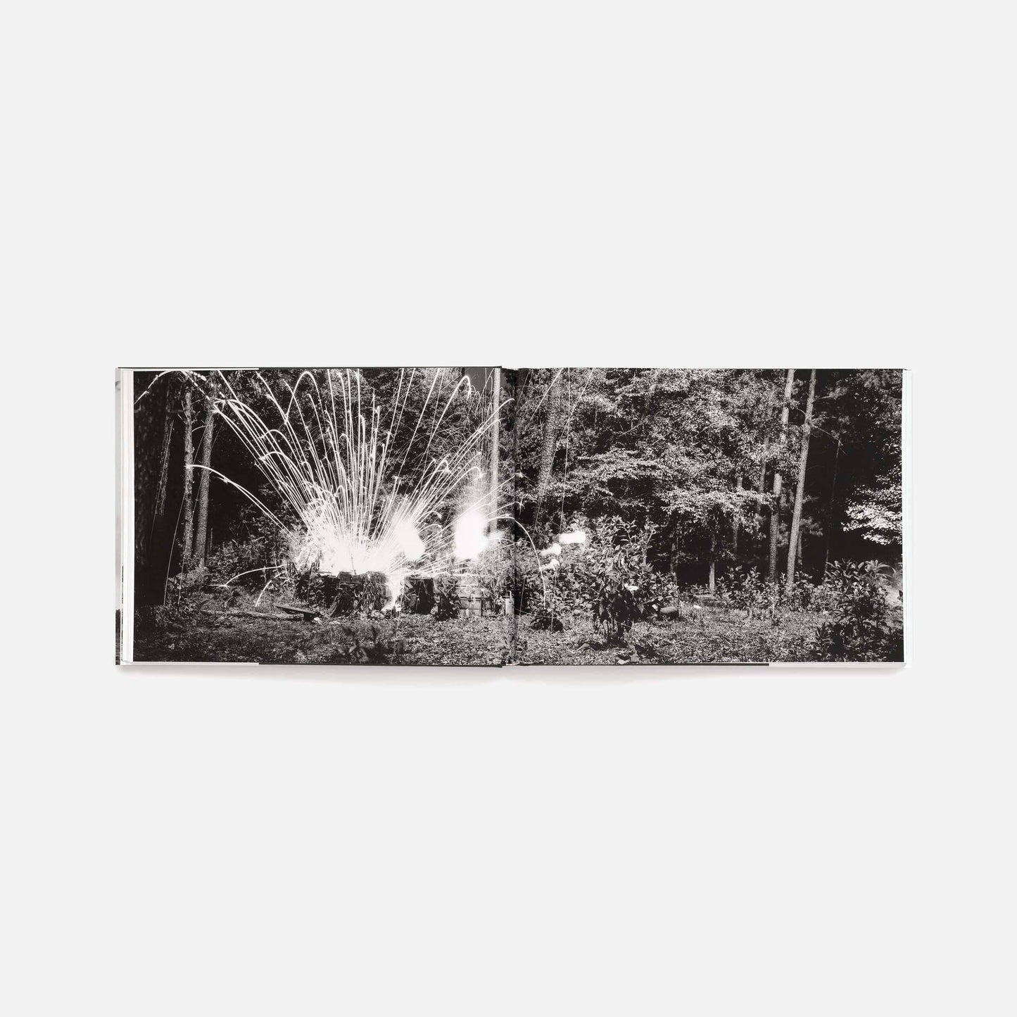 An-My Lê: Small Wars