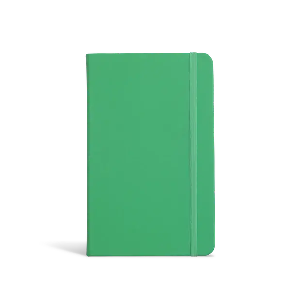 Papier Everyday Lined Notebook