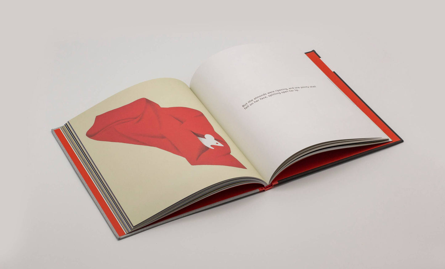 The True Story of a Mouse Who Never Asked for It