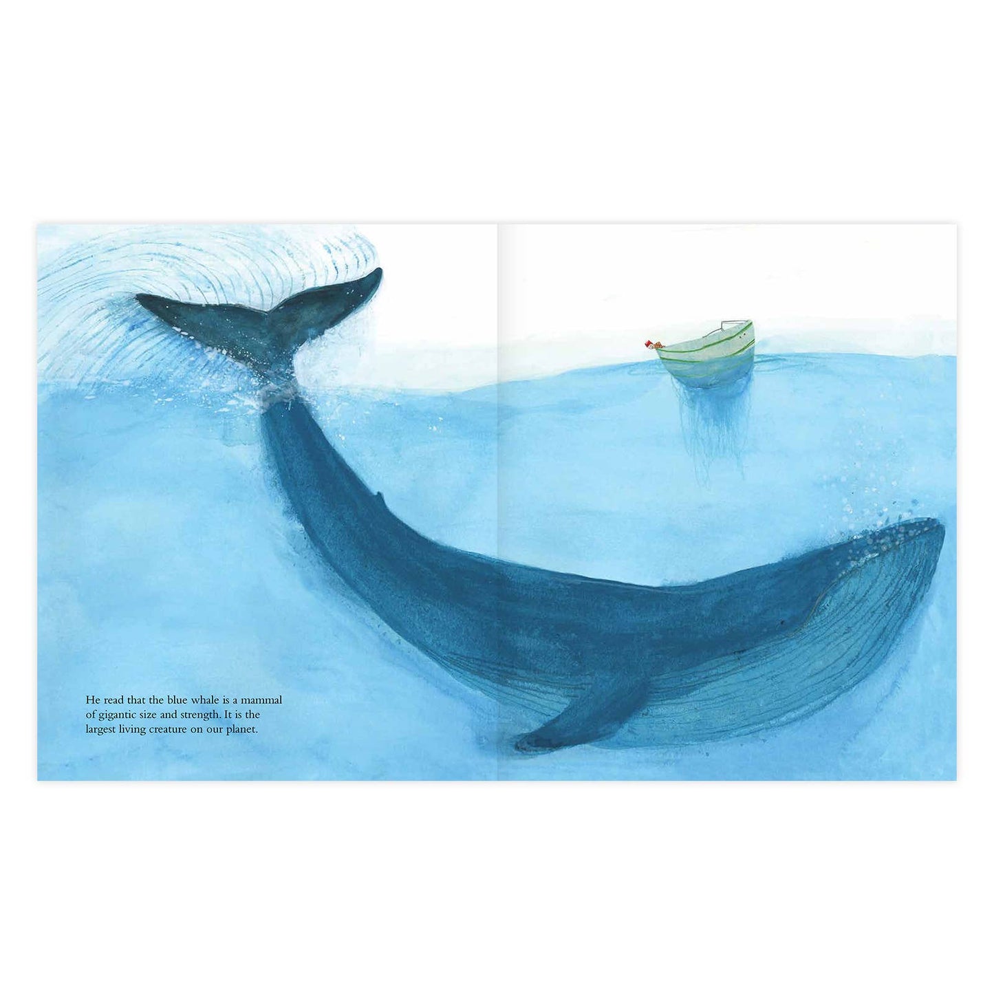 The Blue Whale