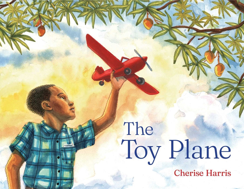 The Toy Plane