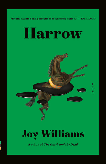 Harrow: A Novel (Kirkus Prize) - Ingram
