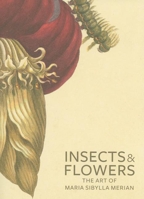Insects and Flowers: The Art of Maria Sibylla Merian - Ingram