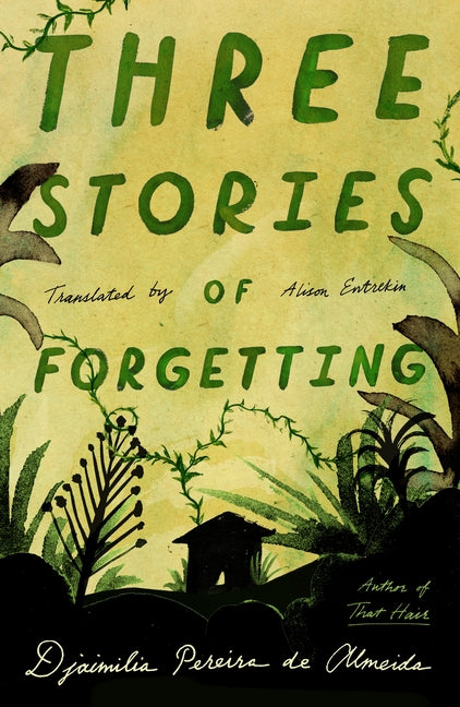 Three Stories of Forgetting - Ingram