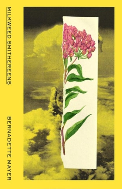Milkweed Smithereens - Ingram